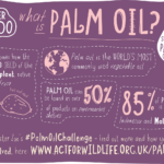 Museums and the sustainable palm oil challenge